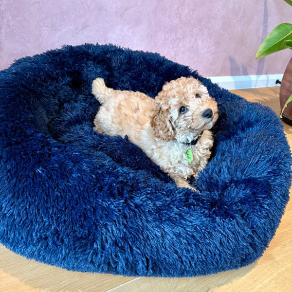 Medium Calming Donut Pet Bed 70x70xx16cm (Navy, Tan or Grey, chosen at random) - Image 5