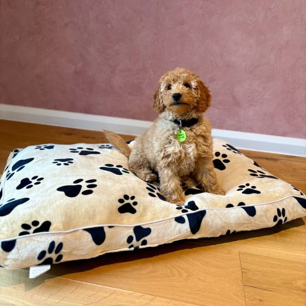Medium Beige Polar Fleece Rectangular Pet Mat 90x60x8cm - Image 4