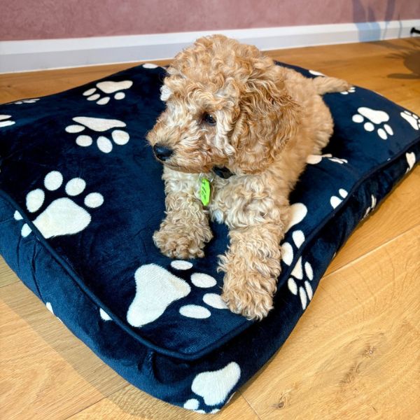 Medium Black Polar Fleece Rectangular Pet Mat 90x60x8cm - Image 6